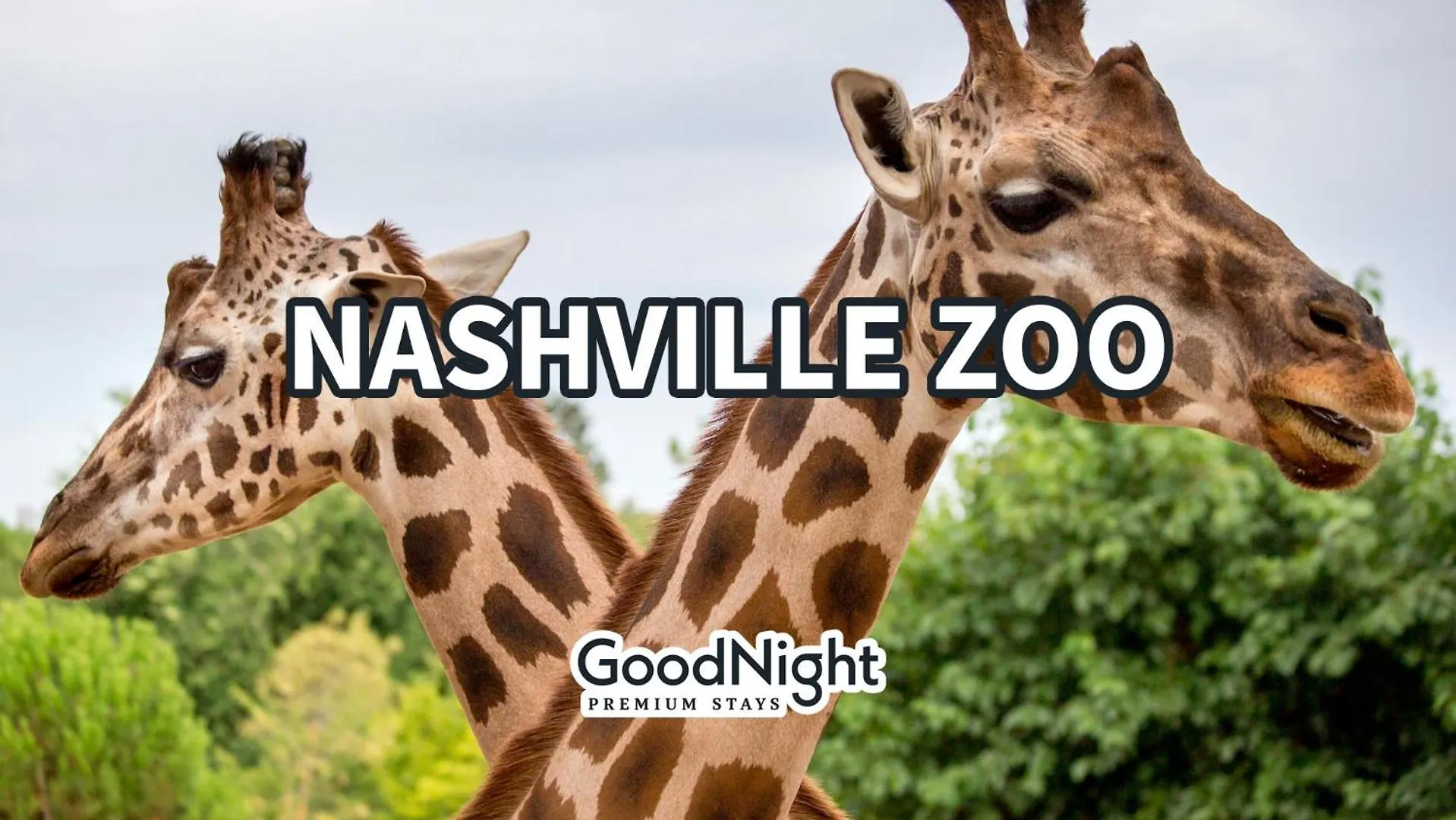 Prázdninový dům Vila Lofts At 30Th - Country Heart - 6 Mins To Broadway Nashville